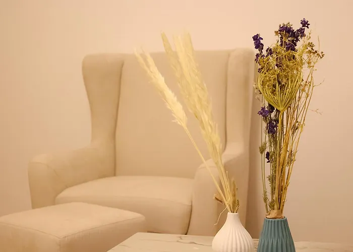 Bibo بيليفيلد